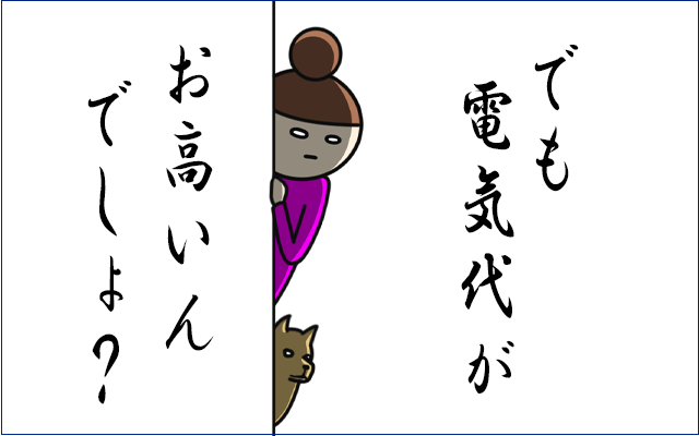 でも電気代がお高いんでしょ?