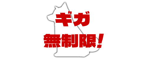 メリハリ無制限|無制限プラン