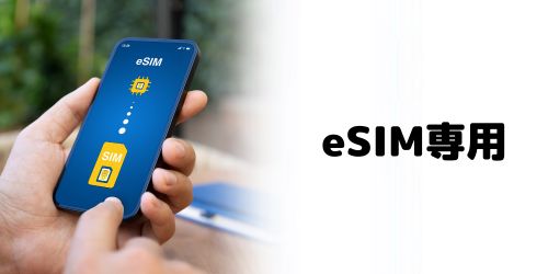 eSIMのみ対応(物理SIMスロット非搭載)