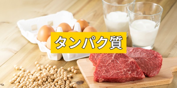 タンパク質